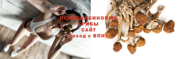 ПСИЛОЦИБИНОВЫЕ ГРИБЫ Карталы