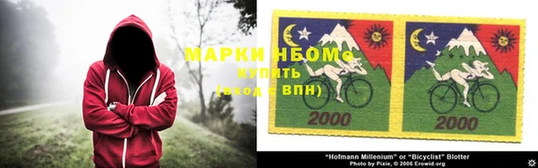 ПСИЛОЦИБИНОВЫЕ ГРИБЫ Карталы