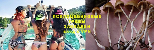прущая мука Касимов