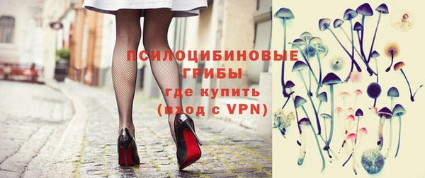 винт Карпинск