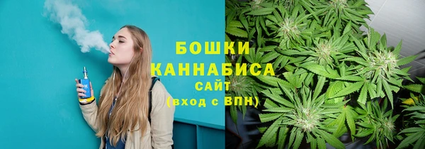 ПСИЛОЦИБИНОВЫЕ ГРИБЫ Карталы