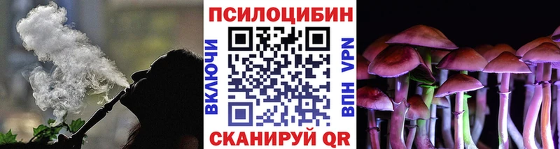 Купить где  Звенигово  Псилоцибиновые грибы GOLDEN TEACHER 